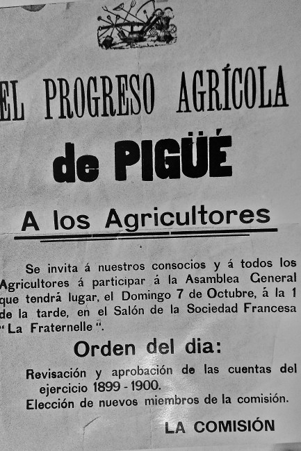Documento perteneciente al Archivo de la cooperativa El progreso agrícola de Pigüé [ca. 1900]